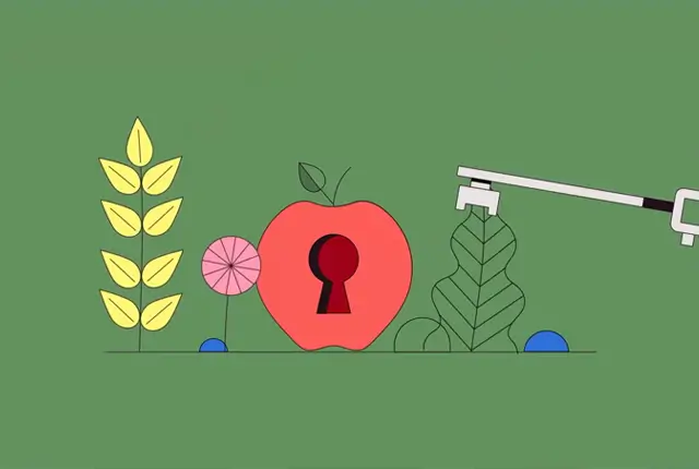 Core Animation Video